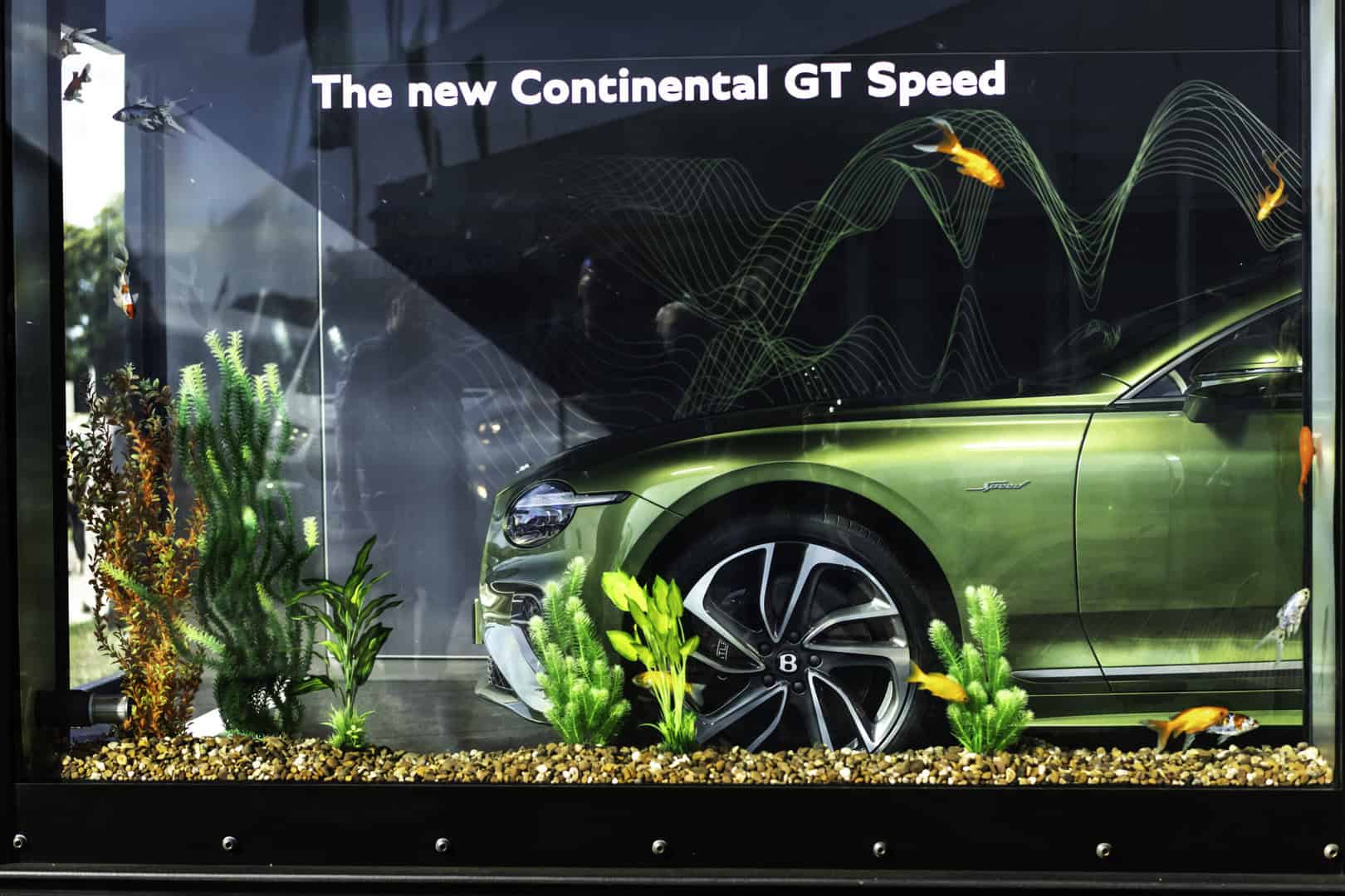 Continental-GT-Speed-Debut-03-scaled-1