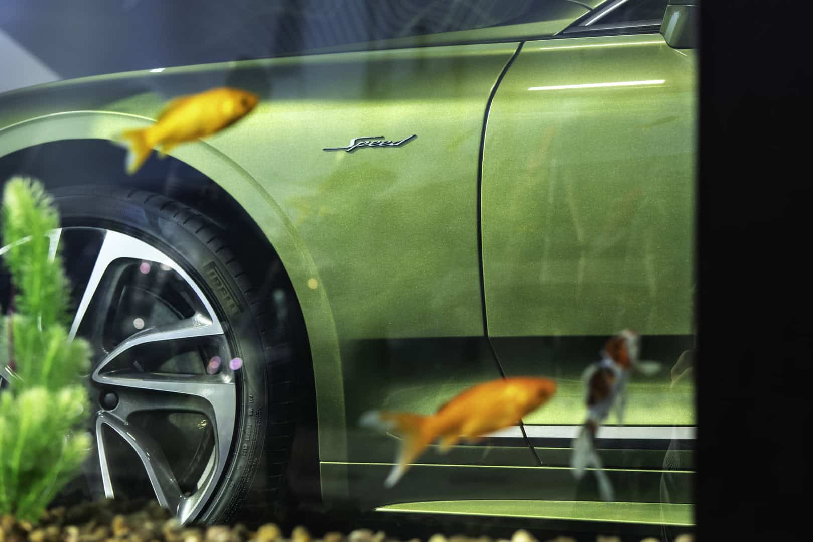 Continental-GT-Speed-Debut-04-scaled-1